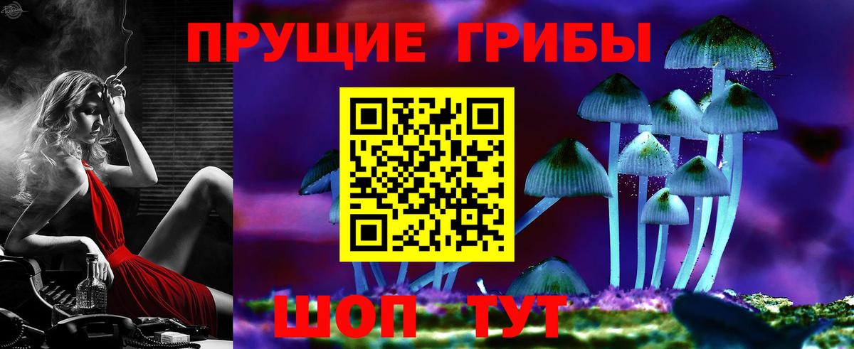Псилоцибиновые грибы Cubensis Кольчугино